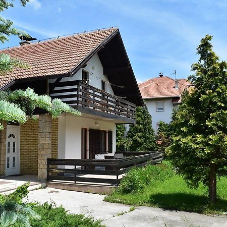 Holiday Home Vila Tejic ズラティボール エクステリア 写真