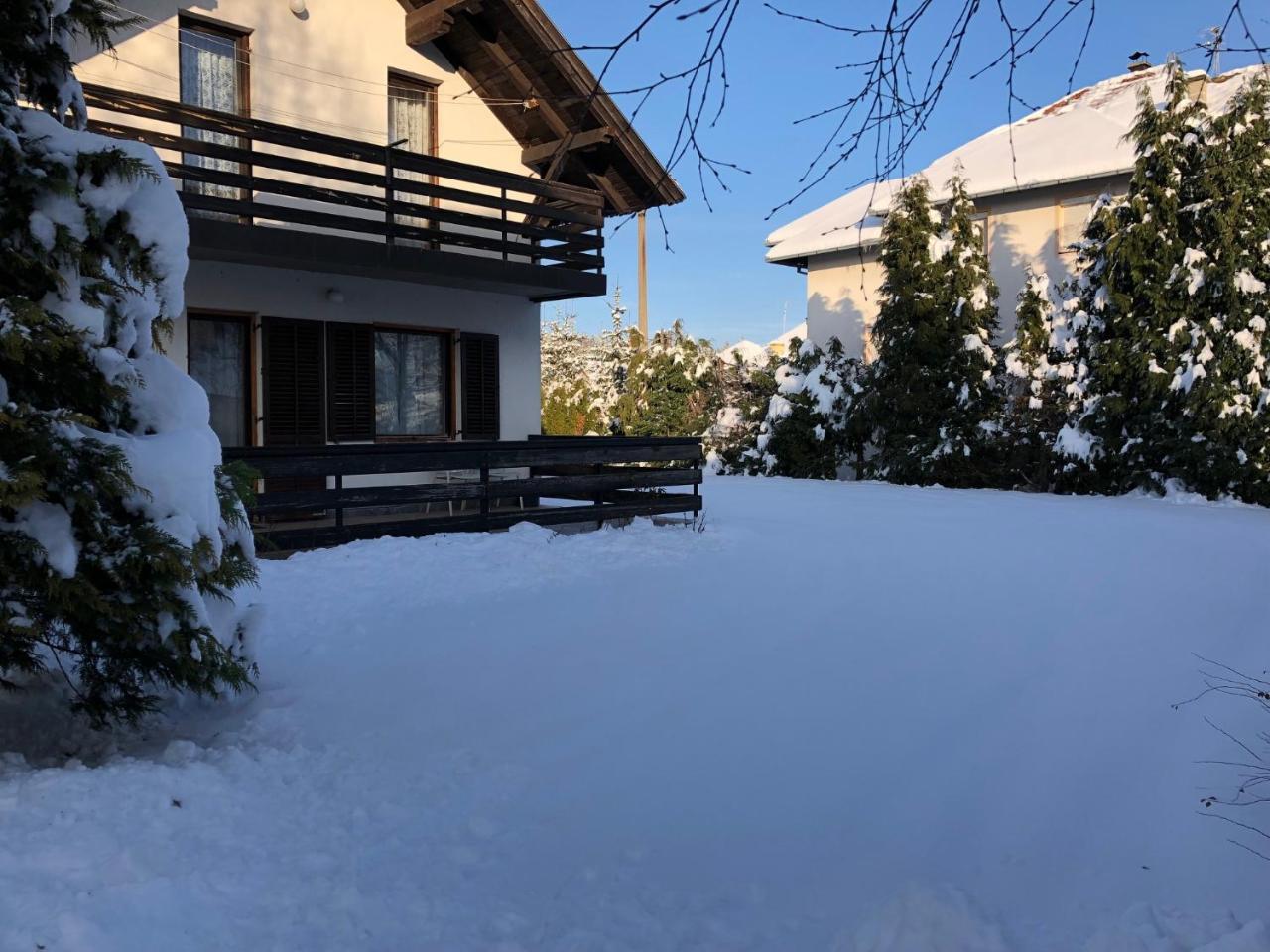 Holiday Home Vila Tejic ズラティボール エクステリア 写真