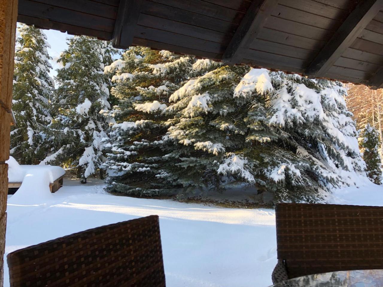 Holiday Home Vila Tejic ズラティボール エクステリア 写真